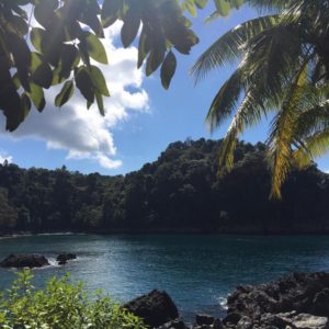 Manuel Antonio National Park Tour