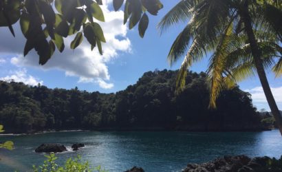 Manuel Antonio National Park Tour